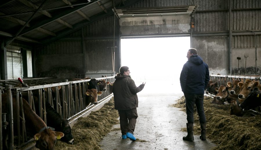 Controles bij veehouderijen op bodembeschermende voorzieningen