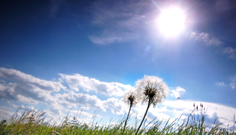 Bodem, lucht en water vrijhouden van zeer zorgwekkende stoffen