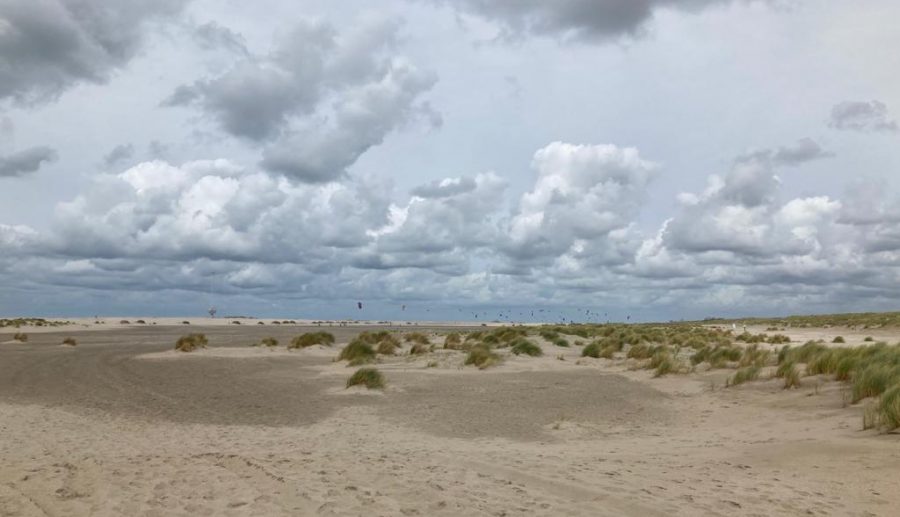 Grote actie in natuur langs Nederlandse kust